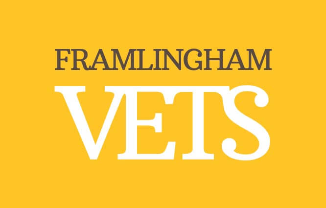 Framlingham Vets